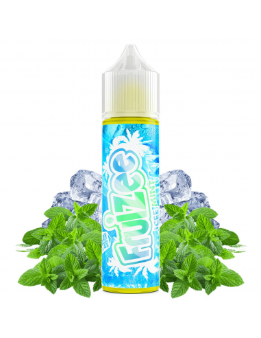 Aroma Icee Mint 10ml (Longfill) - Fruizee