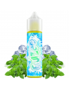 Aroma Icee Mint 10ml (Longfill) - Fruizee